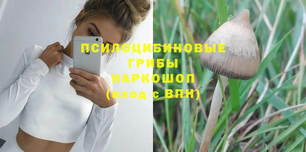 дмт Алексин