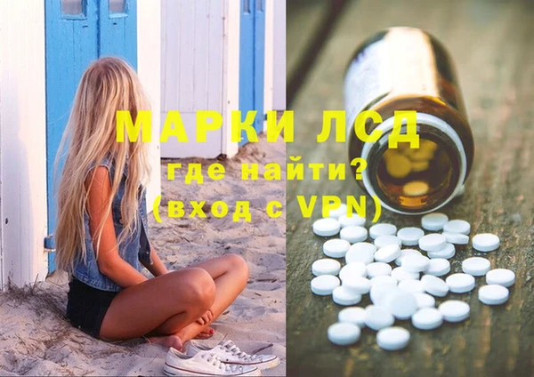индика Алзамай