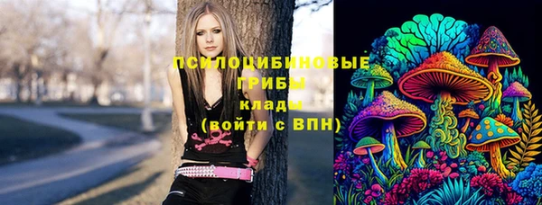 индика Алзамай