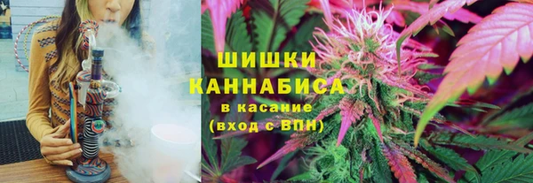 дмт Алексин