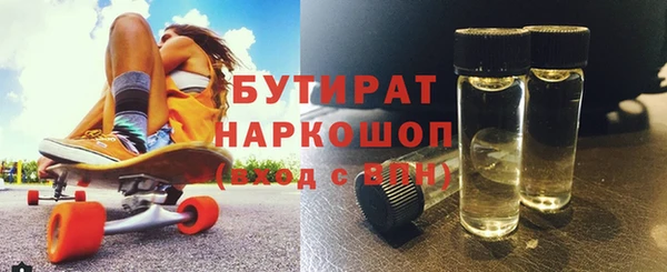 индика Алзамай